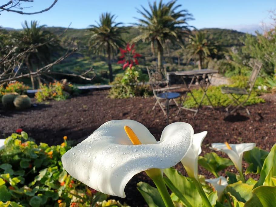 Casa Tara Ruhe Und Entspannung, Natur Pur Acardece Extérieur photo