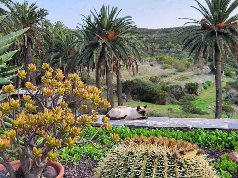 Casa Tara Ruhe Und Entspannung, Natur Pur Acardece Extérieur photo