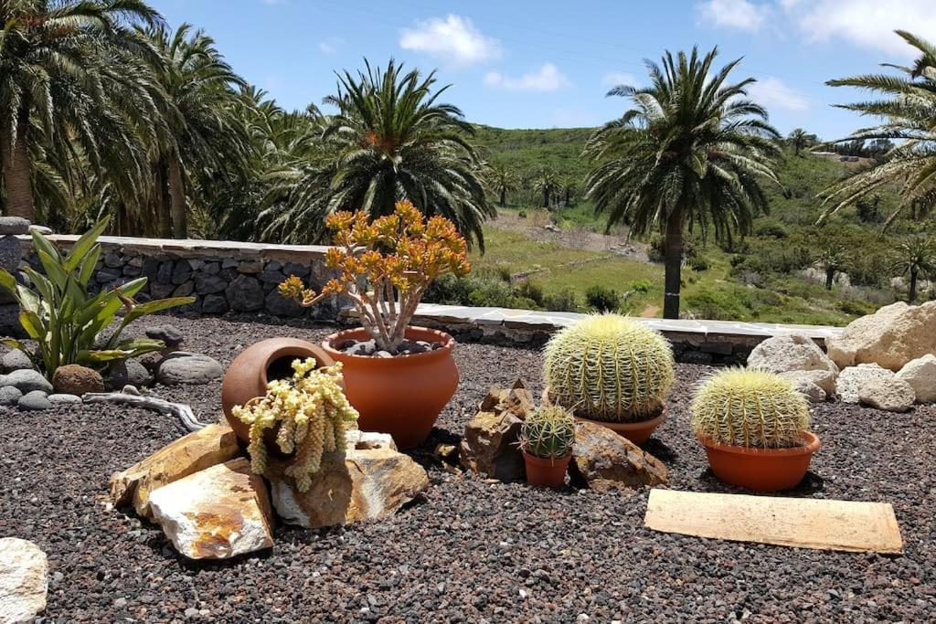 Casa Tara Ruhe Und Entspannung, Natur Pur Acardece Extérieur photo